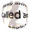 phillipineeagle