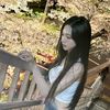 araaurelia3