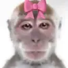 k000000_2