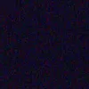 prettyorange_