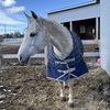 rydertaylor_05