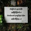 my.fmaily5