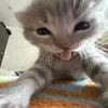 smok3zz.z