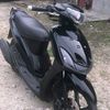 owner.green96