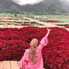 hollagorgeous_