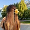 gunca_077