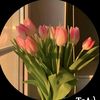 belalhossain9043