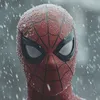 spiders583