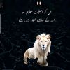 abdullahanxari21