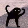essa_sfuffedanimal