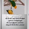 user7434627771498