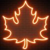 mr_mapleleaf1