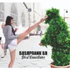 BushprankBR_Pegadinhas e memes