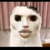 _sjf.skkddd