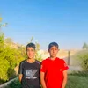 havem002