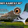 bodotamarvy
