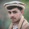 shahfahad7975