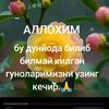 user20203147487346