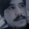 user769081179