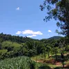valdirene.silva560