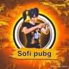 sofipubg2