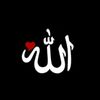 aliyev_1234fld1
