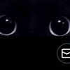 user8147449606728