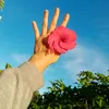 lctniah