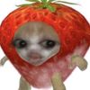 xxrimiy