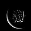 tasneem8671