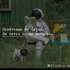 user1906611108118