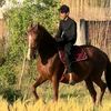 muhammadaligujjar431