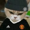 raywijaya26