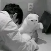 7w7e7w7