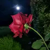 al_araqe