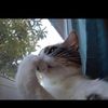 amani.khaled48