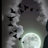 user12155561_919