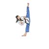 taekwondo.122