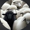userfr1353556