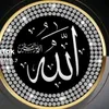 user8869694096382
