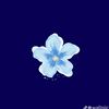 yasmine.yasmin766