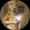 user38081514700864