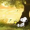 snoopy..mx