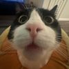 jax.brosie8