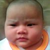 fassyfazel