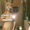 xorxe.tumax.abrah