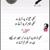 shabirhussain9144
