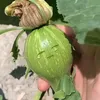 thucnunho_b