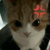 dhiprasw_7
