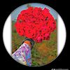 user2396215311675